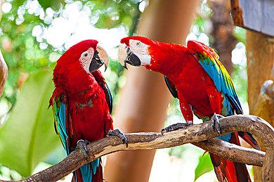 复古外设制造商Hyperkin发声致歉：以后不再放鸽子了